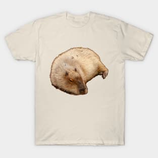 Capybara just lying around T-Shirt